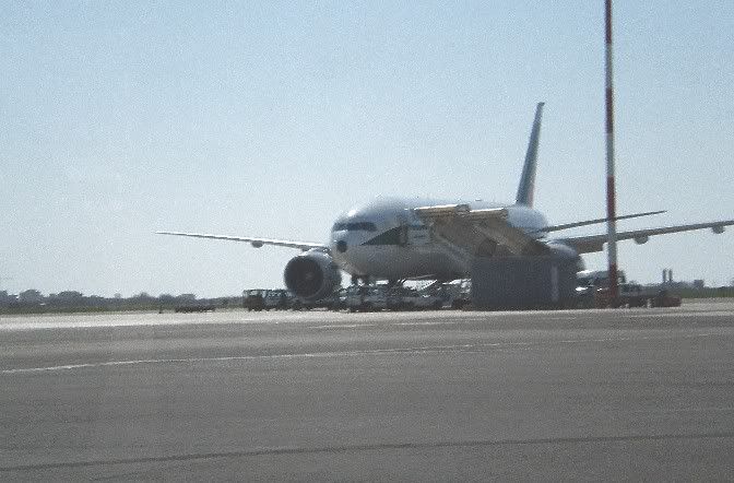 P3260009.jpg