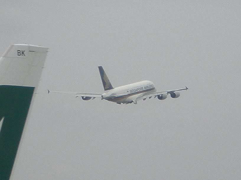 P4050042.jpg