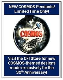 COSMOS Necklace Store Link