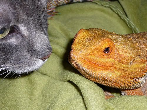 cute.jpg