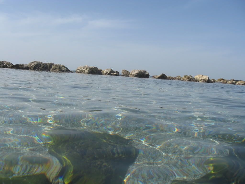 http://i200.photobucket.com/albums/aa284/jpiippo/Pictures6587.jpg http://i200.photobucket.com/albums/aa284/jpiippo/Pictures6587.jpg
