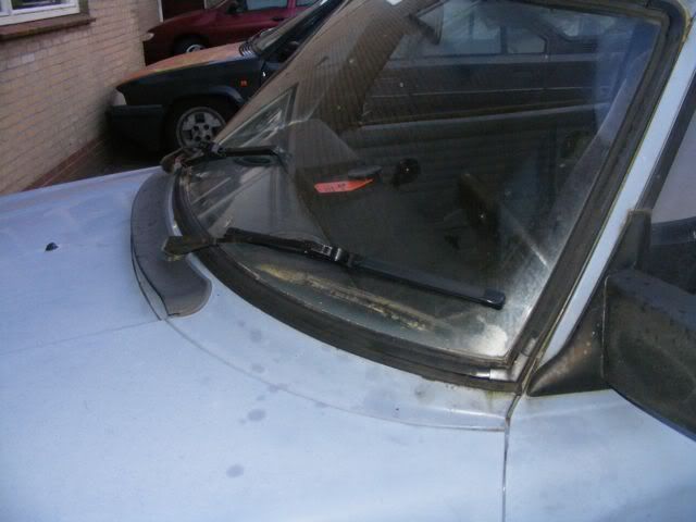 DSCF7861.jpg