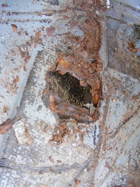 DSCF8006.jpg