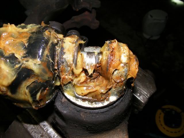 DSCF7545.jpg
