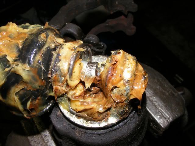 DSCF7546.jpg