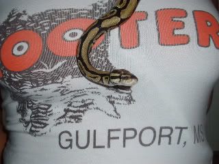November09snakes020-1.jpg