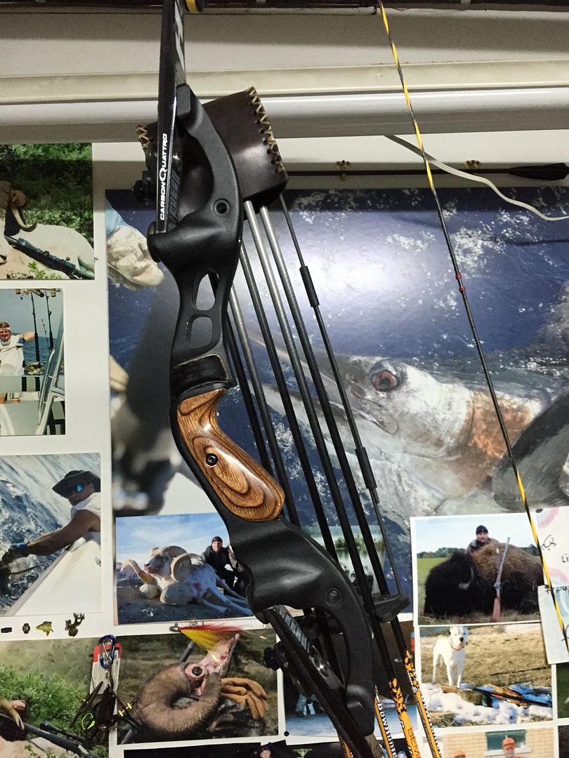 Major Quiver Upgrade Hoyt Buffalo (Great Northern) Archery Talk Forum