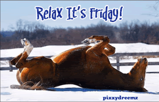 Friday Horse Relax Pictures, Images and Photos