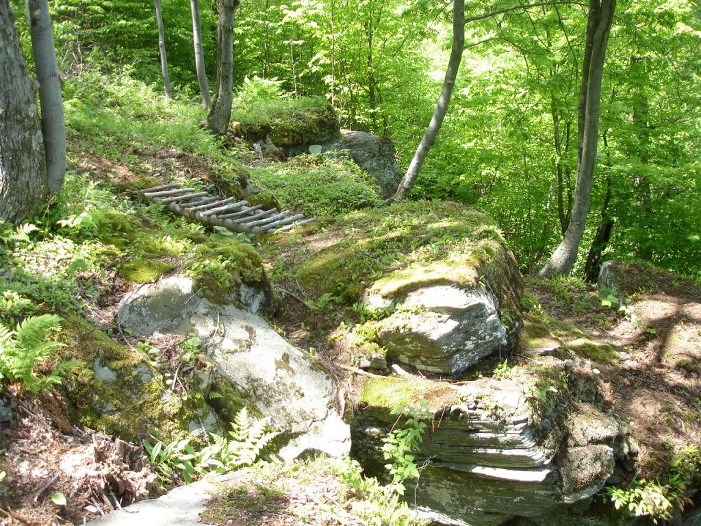 DSC02722.jpg