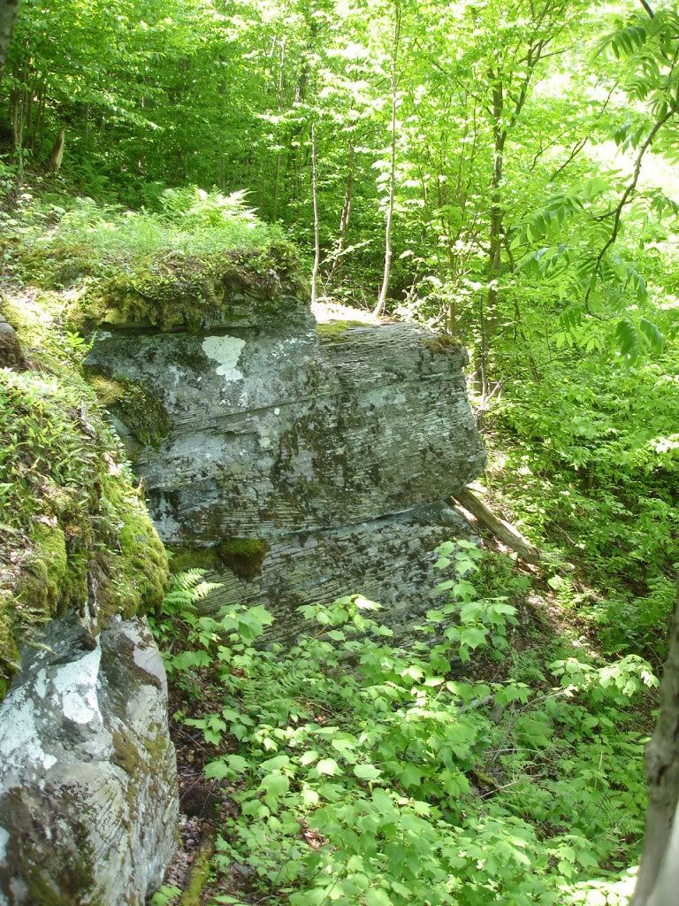 DSC02727.jpg