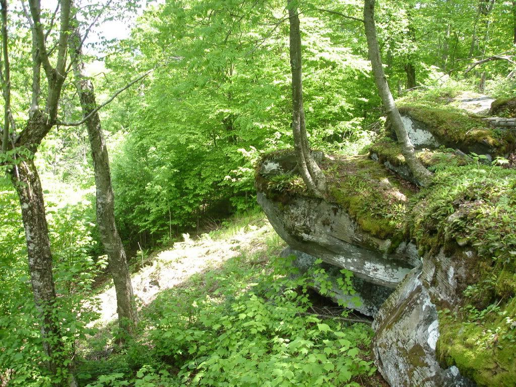 DSC02729.jpg