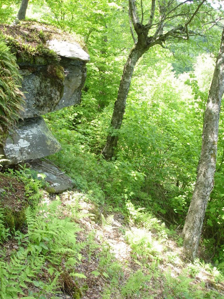 DSC02732.jpg
