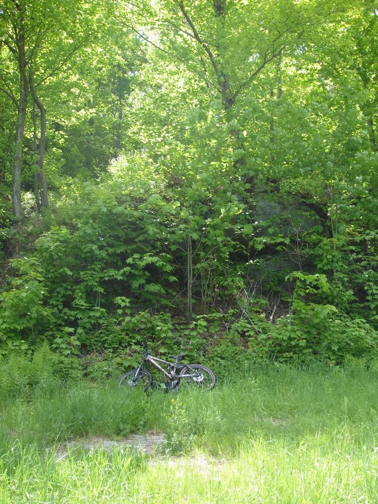 DSC02735.jpg