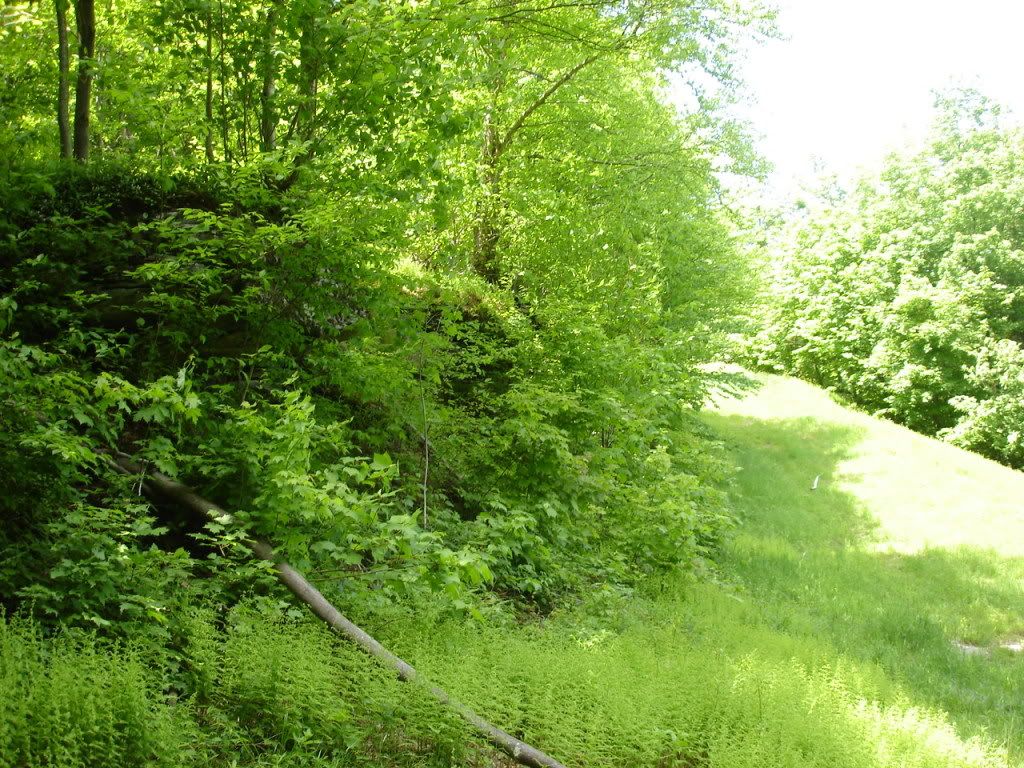 DSC02742.jpg