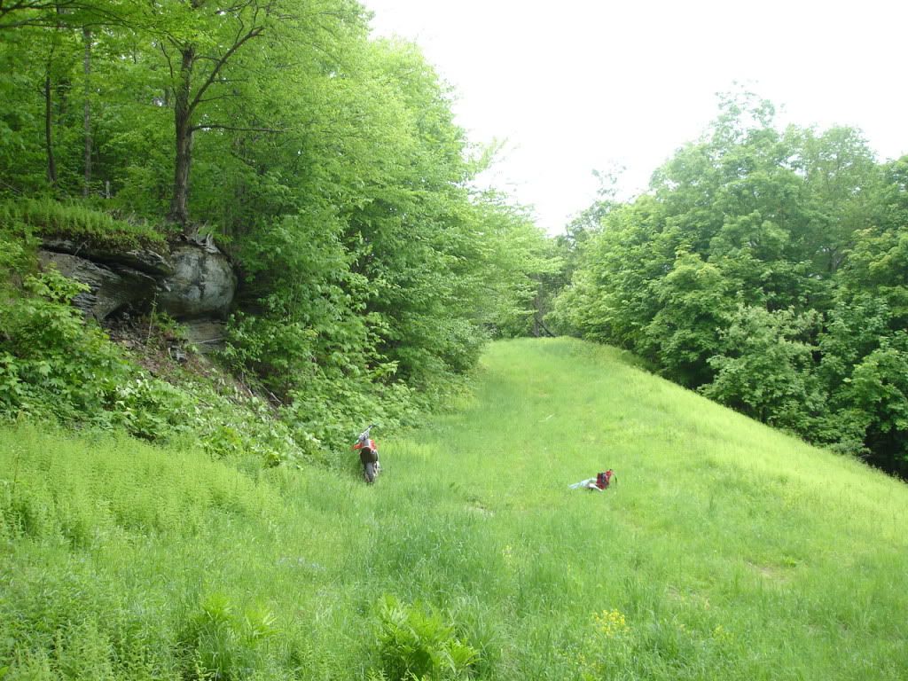 DSC02750.jpg