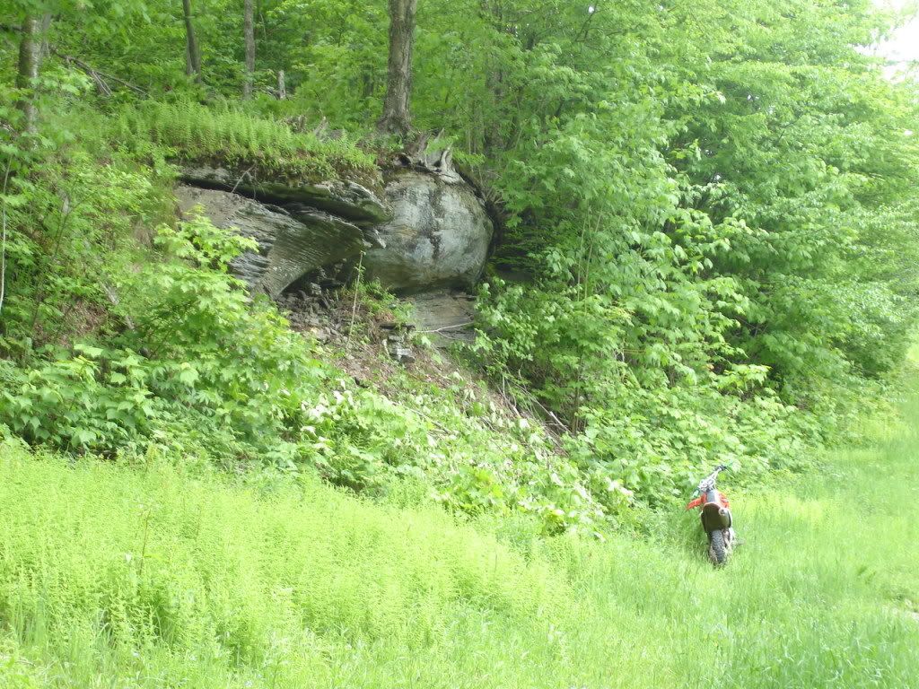 DSC02751.jpg