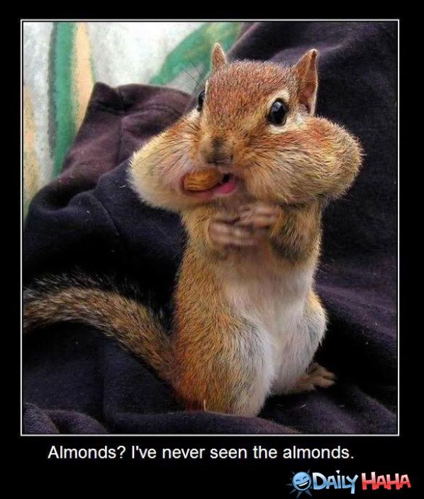 what-almonds.jpg