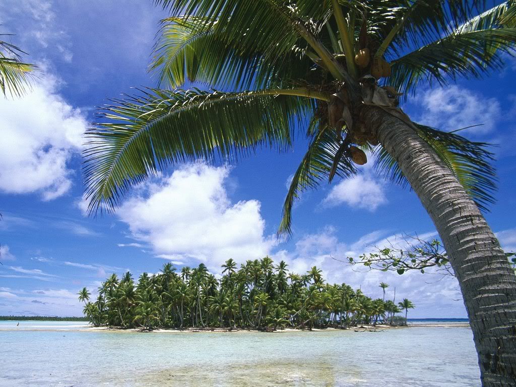 RangiroaTuamotuIslandsFrenchPolynes.jpg