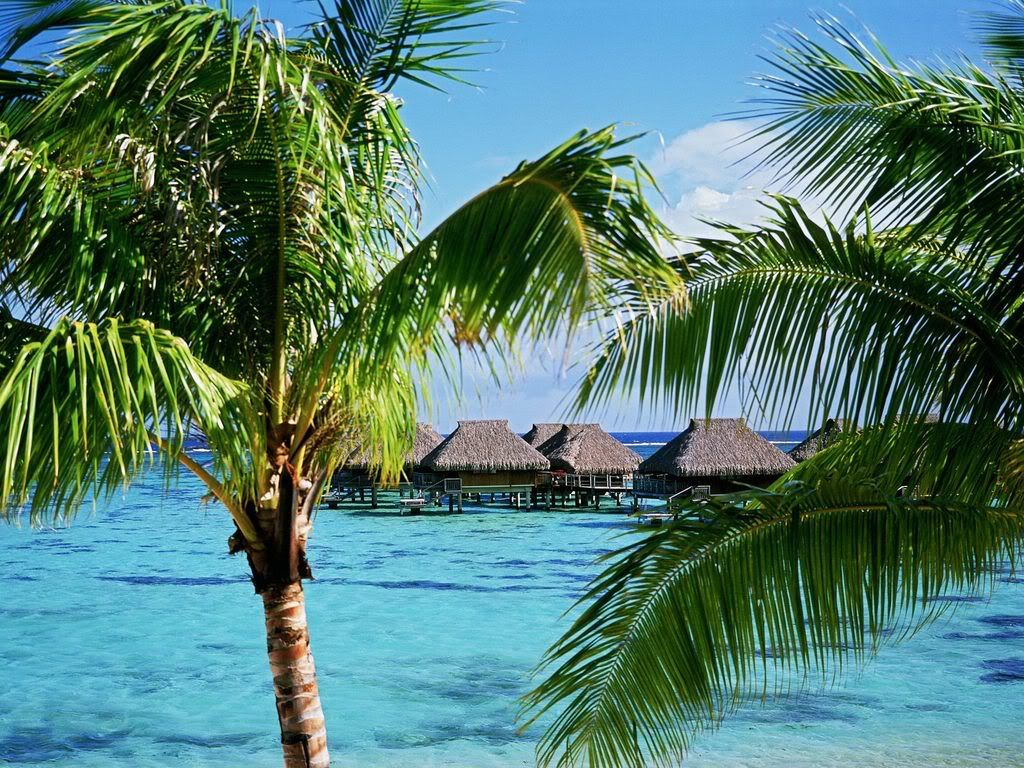 TropicalAccommodationsMooreaIslandF.jpg
