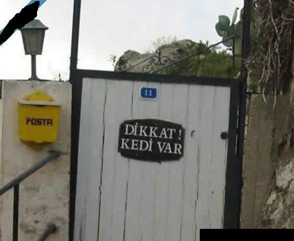 20070516585523117932035js4.jpg