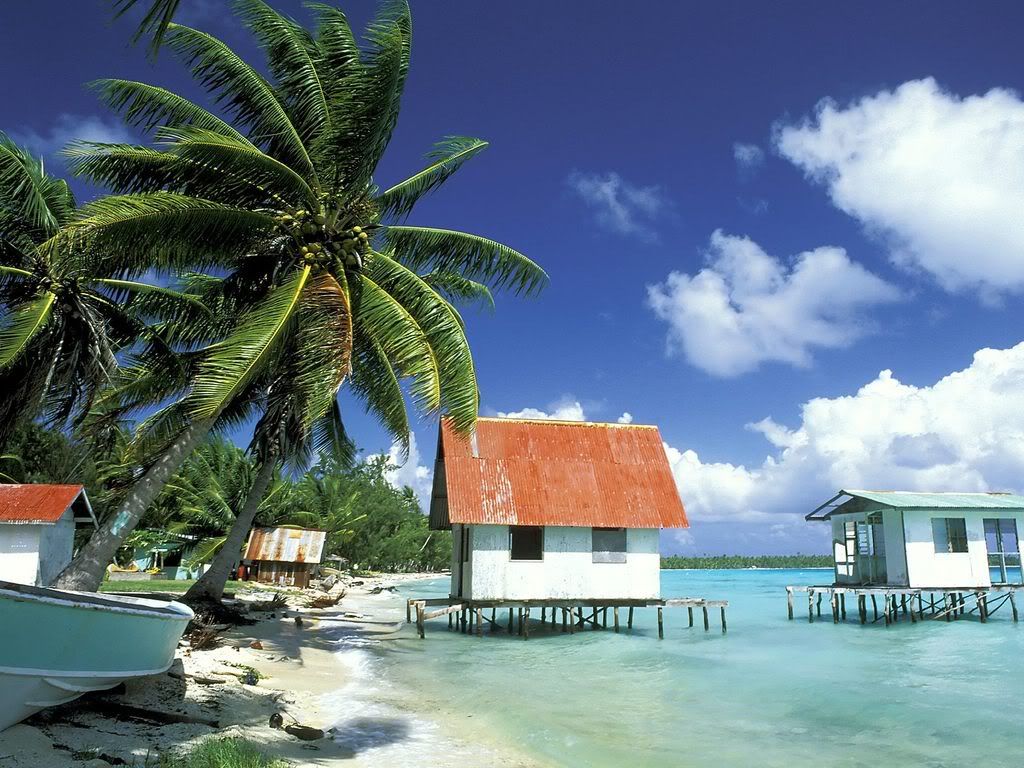 BlackPearlFarmTuamotuIslandsFrenchP.jpg