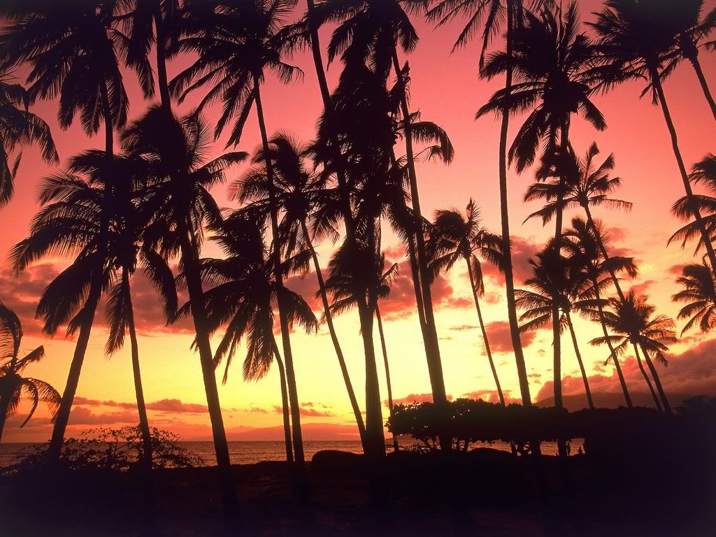 HawaiianSunsetHawaii.jpg