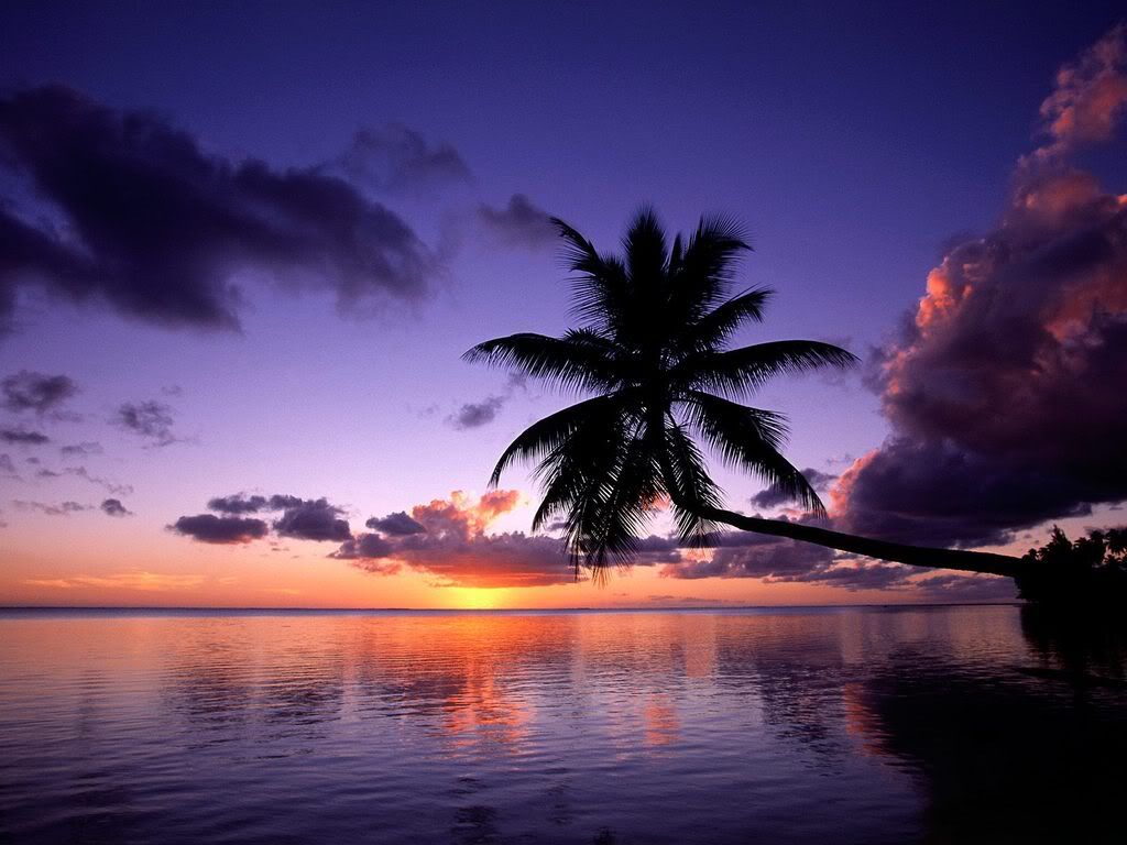 MooreaFrenchPolynesia.jpg