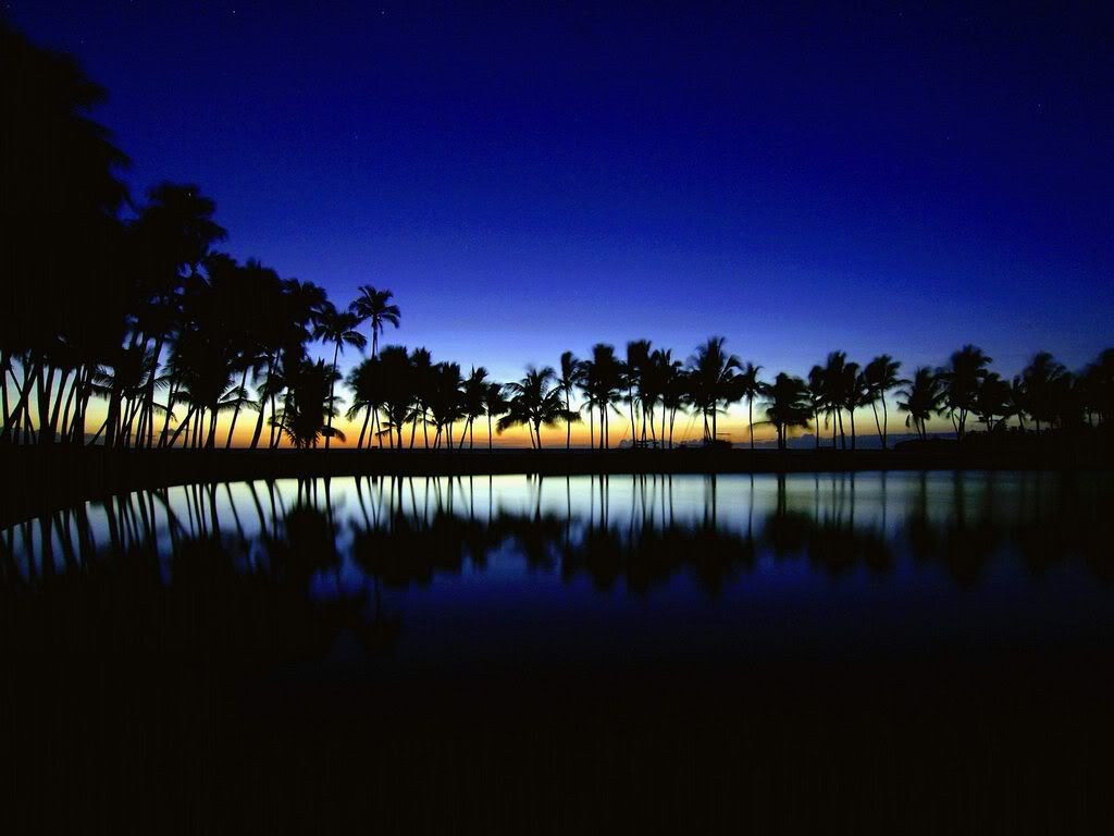 PalmSilhouetteBigIslandHawaii.jpg