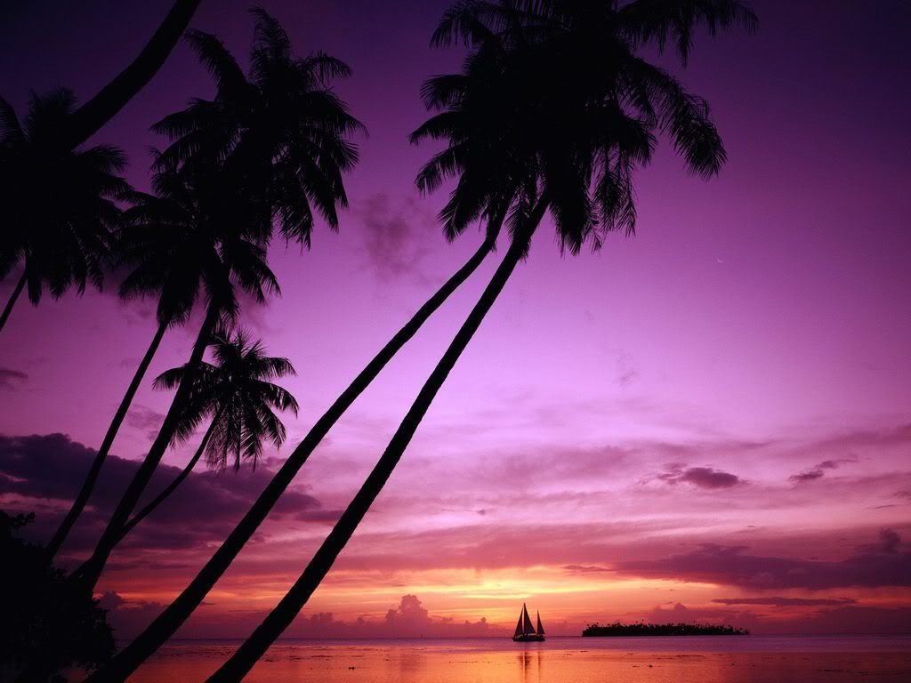 SailinginParadiseTahitiFrenchPolyne.jpg