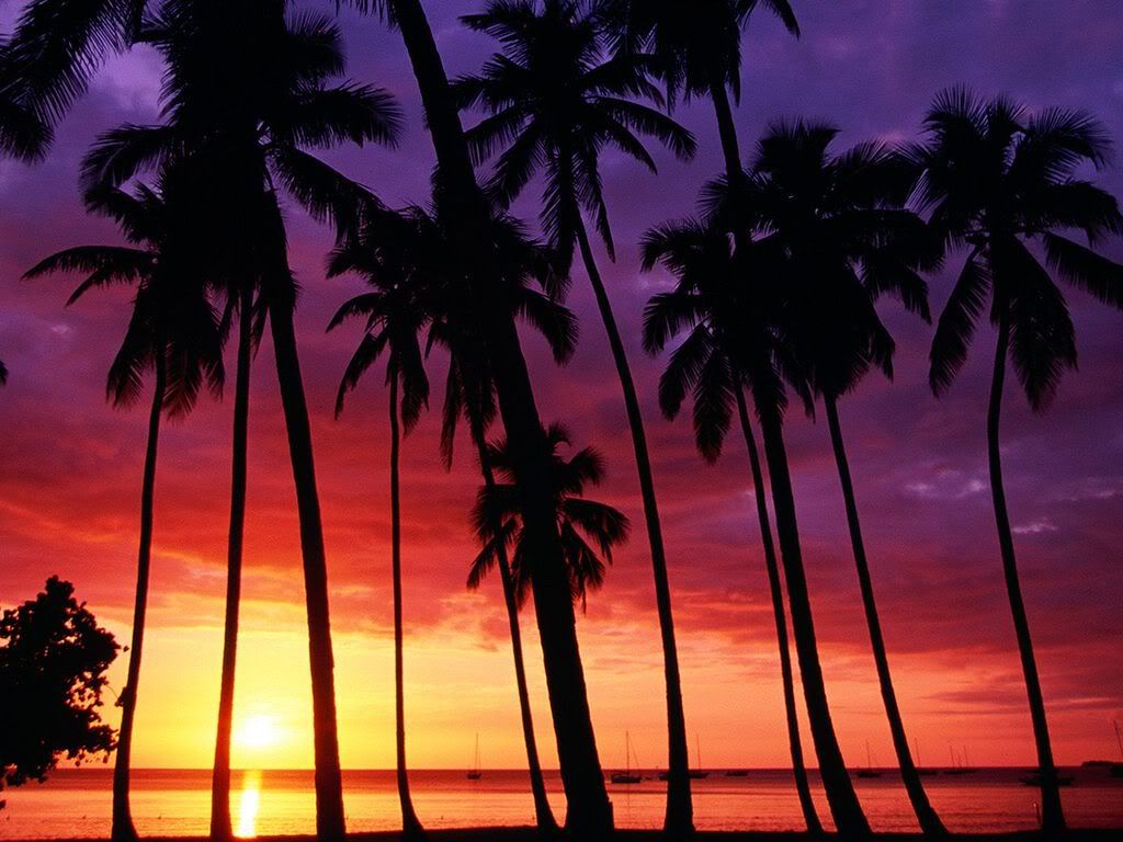 SunsetSpectacularPuertoRico.jpg