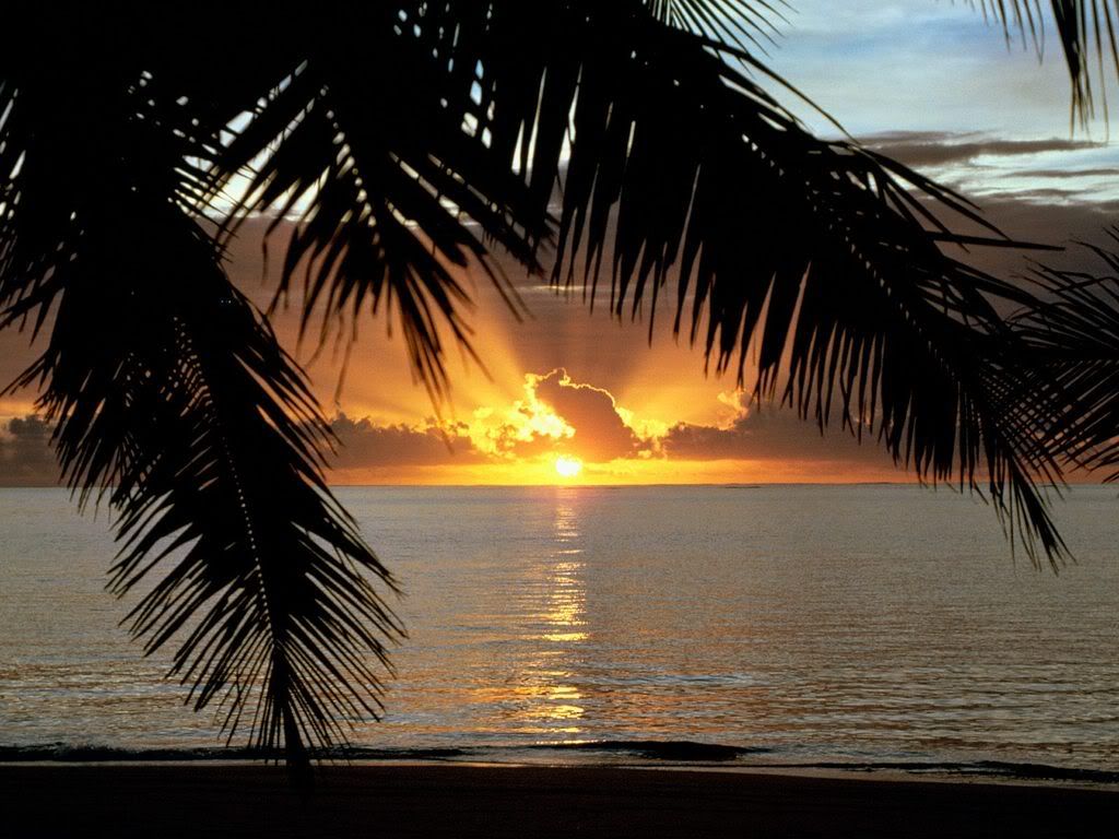 SunsetinParadise.jpg