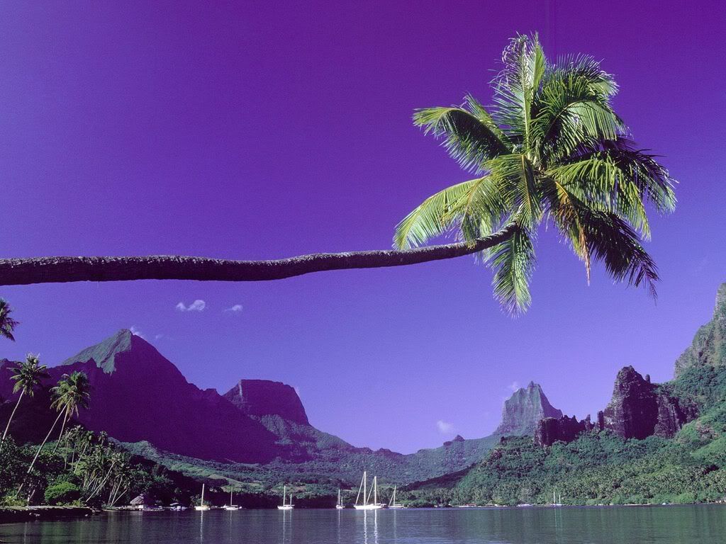 TheBigStretchTahiti.jpg