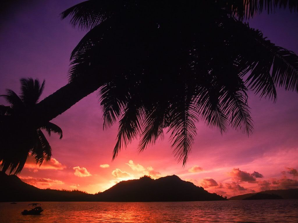 TropicalBeachatSunsetTheSeychelles.jpg