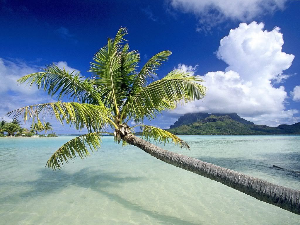 TropicalEscapeBoraBoraFrenchPolynes.jpg