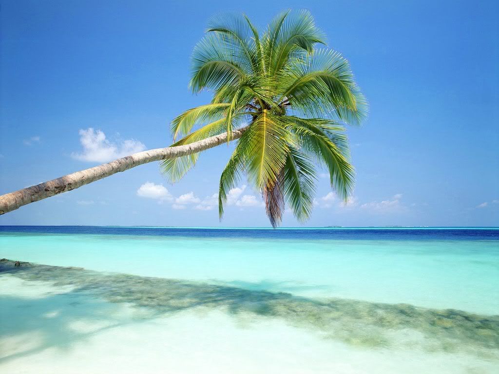 TropicalIslandMaldives.jpg
