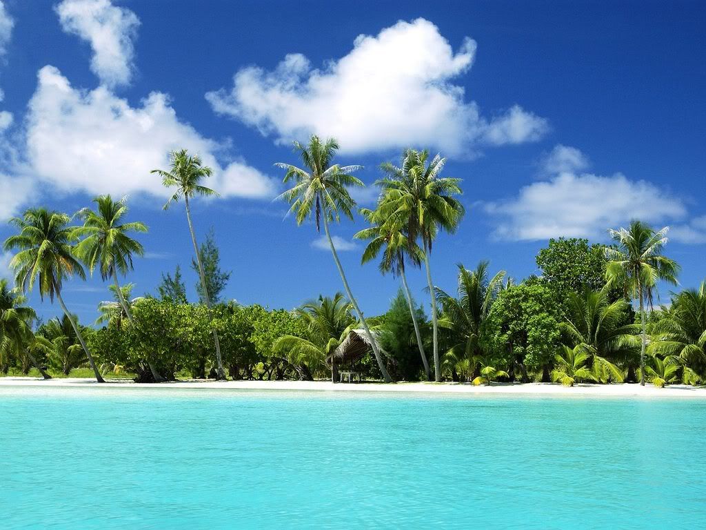 TropicalRetreat.jpg