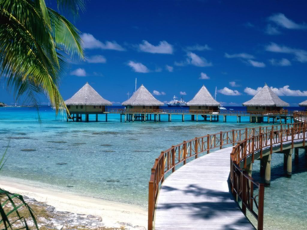 WalkwaytoParadiseTiputaRangiroaFren.jpg