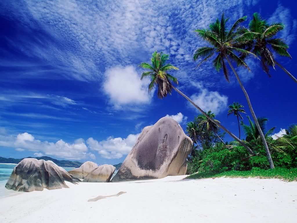 WhiteSandyBeachSeychelles.jpg