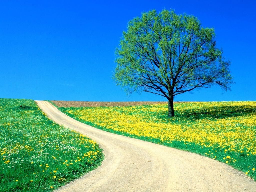 Spring_Road-20080221160041.jpg