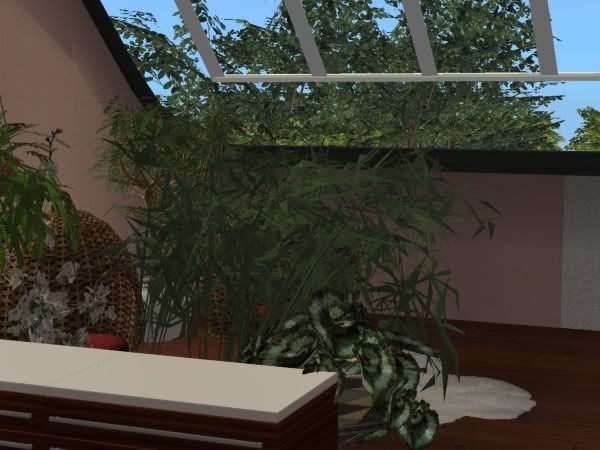 snapshot_0000000a_74e7fac6.jpg