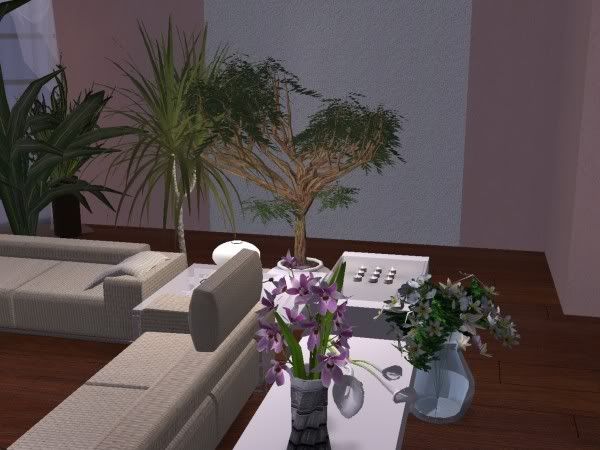 snapshot_0000000a_94e7e31f.jpg
