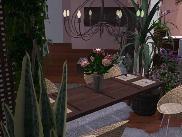 snapshot_0000000a_94e7e347.jpg