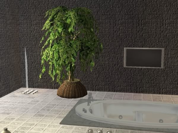 snapshot_0000000a_b4e7fa50.jpg