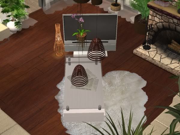 snapshot_0000000a_d4e7fb8d.jpg