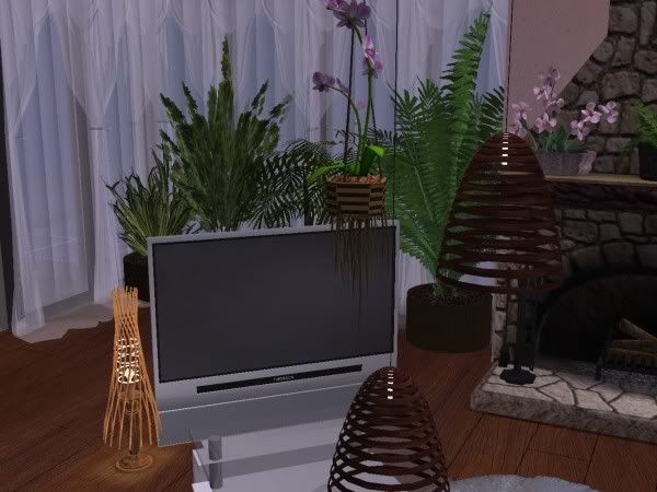 snapshot_0000000a_f4e7e315.jpg