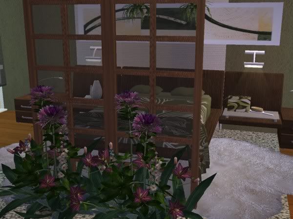 snapshot_0000000c_14cf18cd.jpg