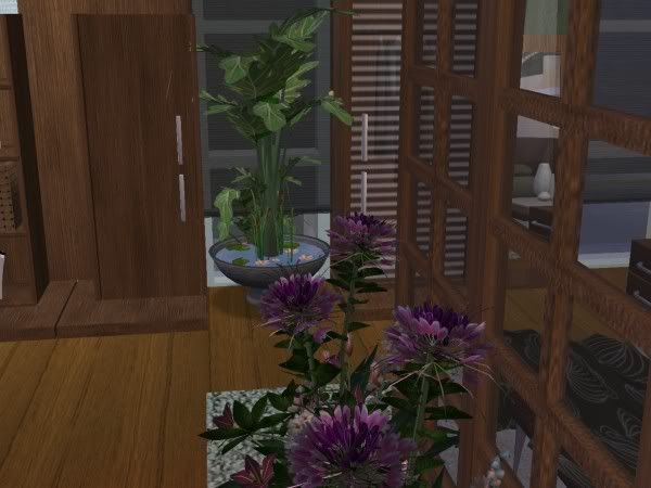 snapshot_0000000c_14cf18eb.jpg