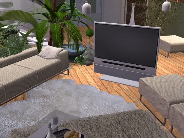 snapshot_0000000c_d4cf0a5b.jpg