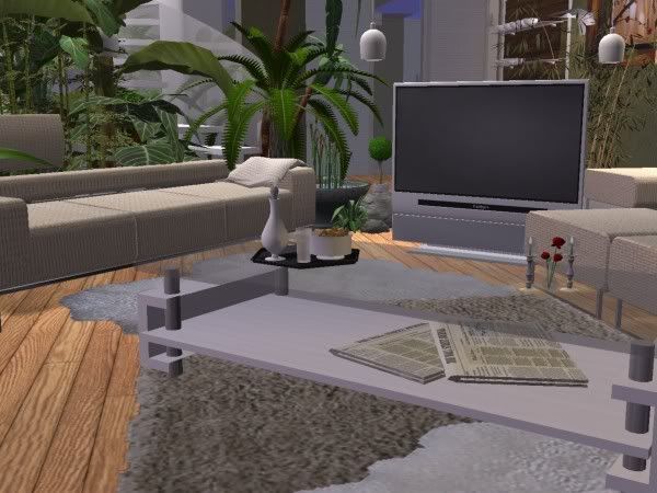 snapshot_0000000c_f4cf0a45.jpg