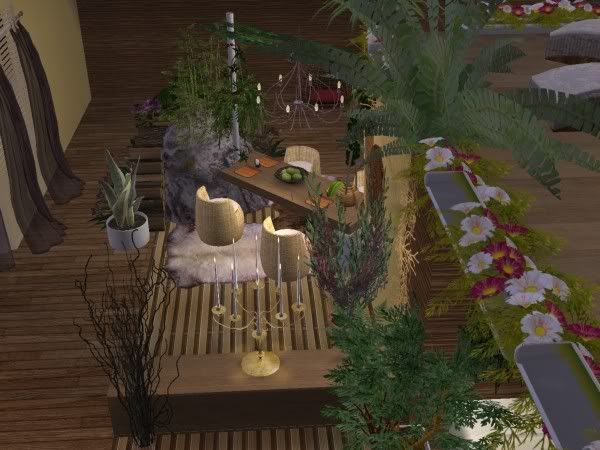 snapshot_00000015_150b7ea9.jpg